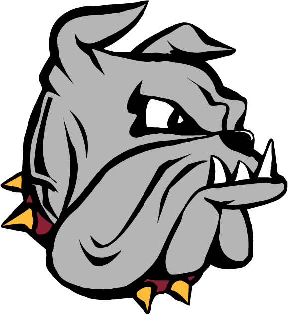 Minnesota-Duluth Bulldogs 1996-Pres Primary Logo iron on paper